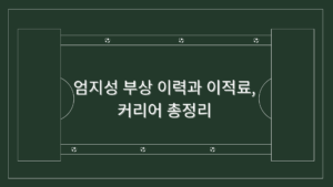 엄지성 부상 이력과 이적료, 커리어 총정리